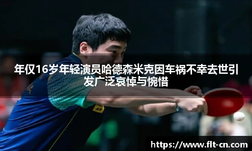 年仅16岁年轻演员哈德森米克因车祸不幸去世引发广泛哀悼与惋惜
